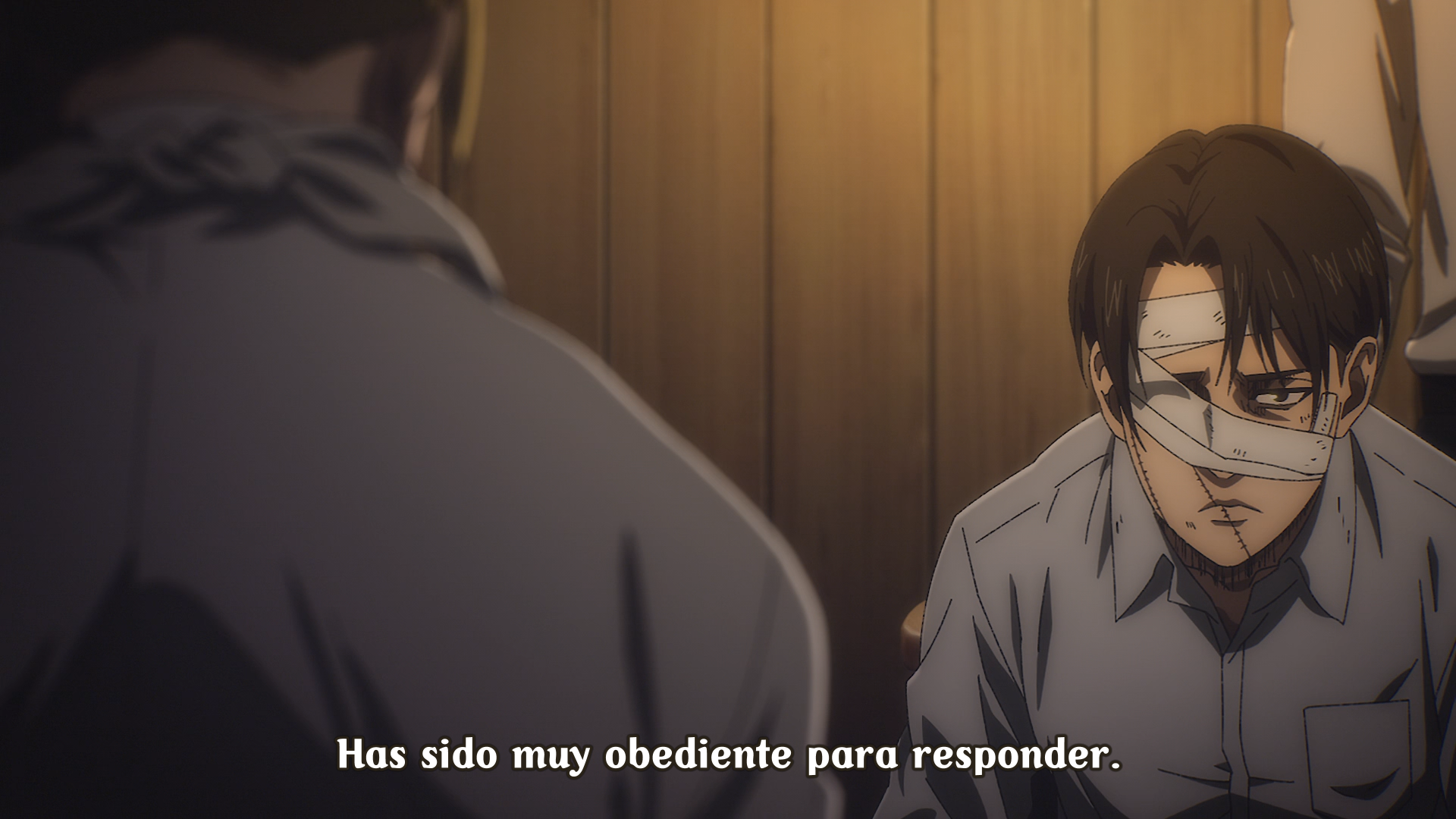 Shingeki no Kyojin: The Final Season - Kanketsu-hen (Anacrónico Fansub)